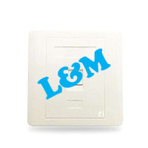 1 Port Cat6 Network Data Faceplate