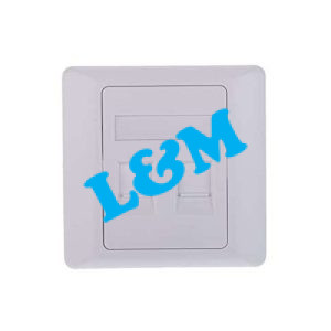 Cat6 Double Port Network Data Faceplate
